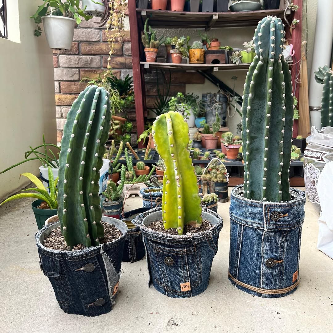 デニムリメイク缶